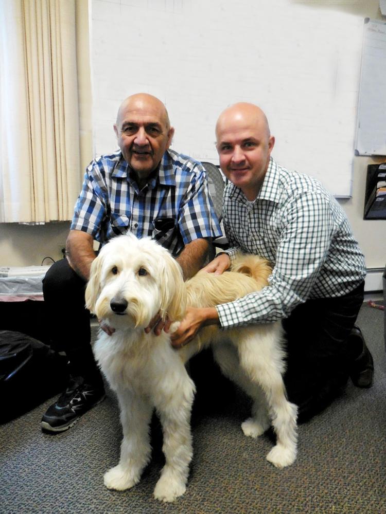 Therapy Dogs Can Help with Grief